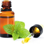 Add Peppermint oil to stimulate growth